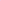 Tom Fido X Large Hot Pink