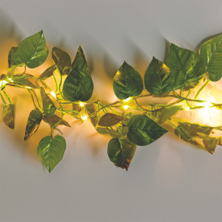 16.5 Ft USB or Battery Powered Decorative Hanging LED Lights with Remote Control & 6x included removeable Peel & Stick Hanging Clips-2