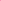 SP Puppy Can Toy Durable Rubber Chew Toy & Treat Dispenser For Teething Pups Large Pink-4-4