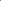 Zebra Pup Scruff Medium Pink