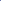 Abstract Pup Scruff Large Blue